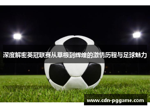 深度解密英冠联赛从草根到辉煌的激情历程与足球魅力 深度解密英冠联赛从草根到辉煌的激情历程与足球魅力