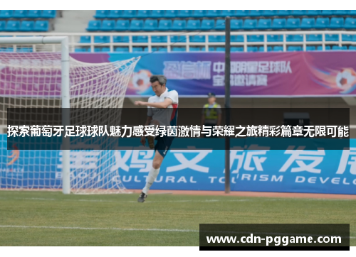 探索葡萄牙足球球队魅力感受绿茵激情与荣耀之旅精彩篇章无限可能