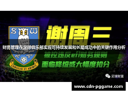 财务管理在足球俱乐部实现可持续发展和长期成功中的关键作用分析